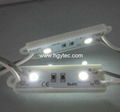 High quality 2leds 5050 led module