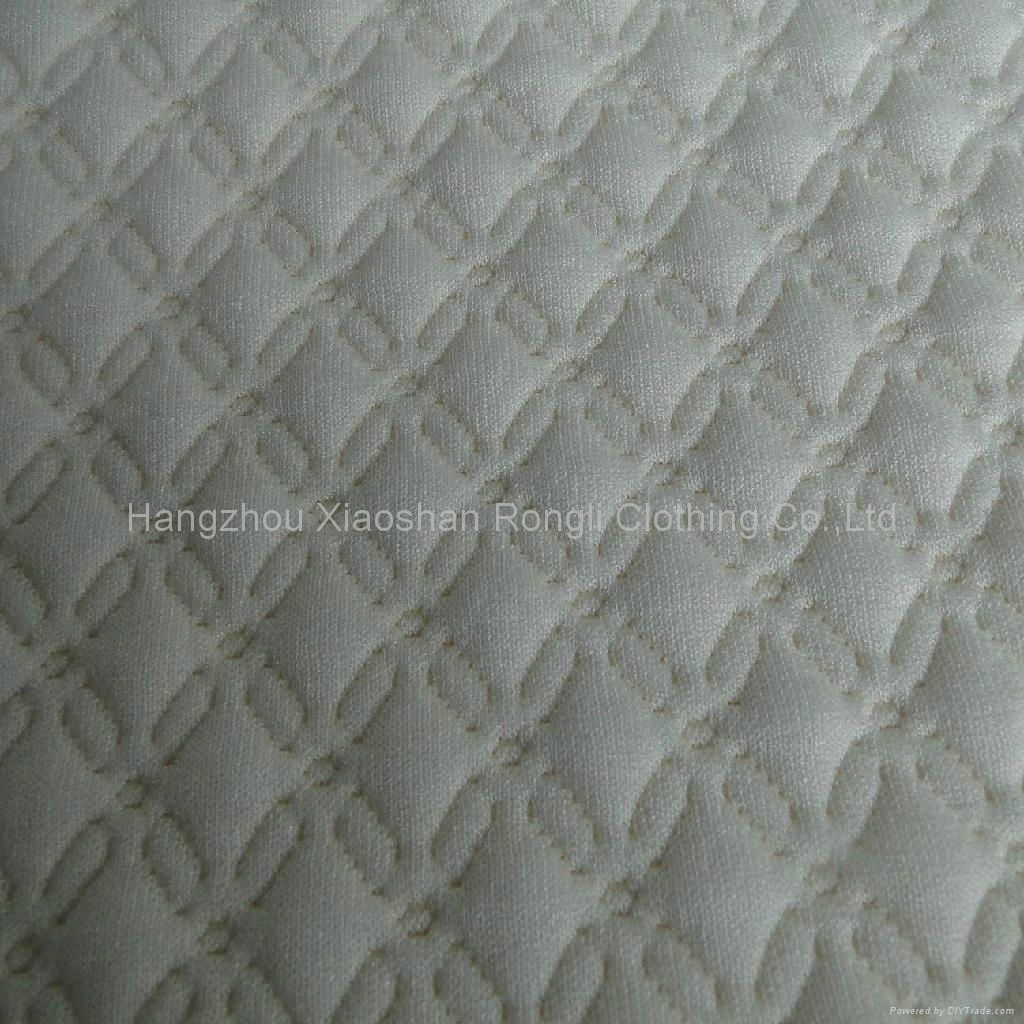 Sell 100% polyester jacquard knitted fabric RLX-D13B 2