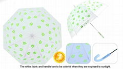 Apollo Umbrella for Nutrilite Promotion