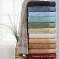 Bamboo Fiber Towels 2