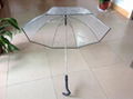 Auto open and close transparent umbrella