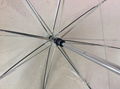 Auto open and close transparent umbrella 3