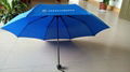 Folding umbrella 1