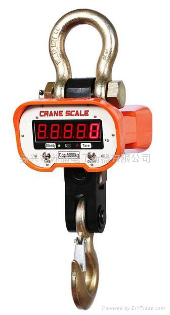 Crane Scales