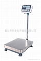 Electronic platform scales 3