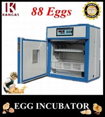 2013 The Newest Full Automatic Egg