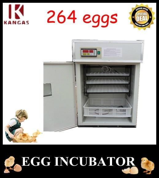 The Best Automatic Chicken Incubator