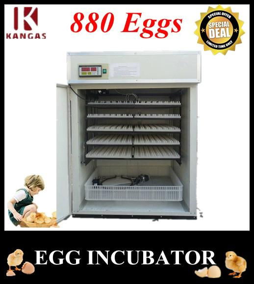 Best Selling Cheap Automatic Industrial Egg Incubator Thermostat