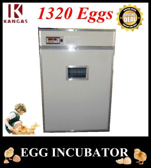 More Than 98% Hatching Rate Egg Incubator Thermostat