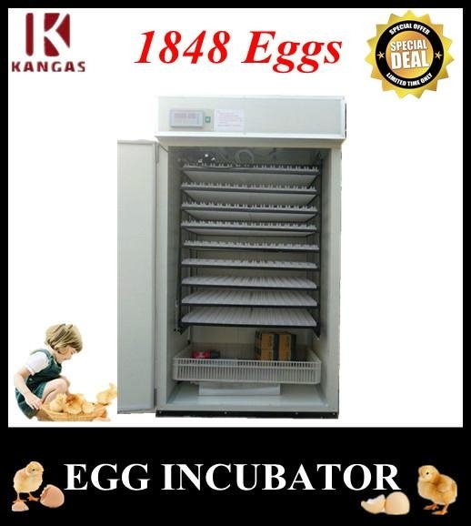 Full Automatic Quail Incubator for Hatching Eggs