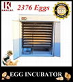 High Quality Automatic Quail Egg