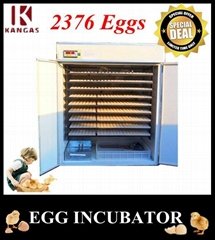 High Quality Automatic Quail Egg Incubator with Good Price