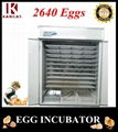 Automatic Incubator for Hatching Chicken
