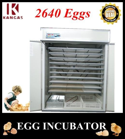 Automatic Incubator for Hatching Chicken Eggs
