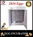 CE Approved Automatic Chicken Egg Incubator Machine with Good Quality 1