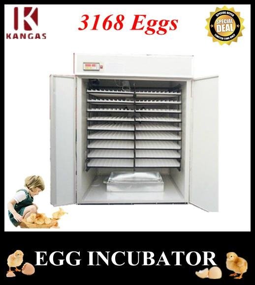 Hot Sale Poultry Egg Incuborts Price