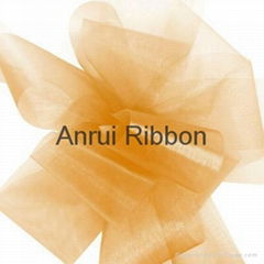 Double face Nylon organza ribbon with trim