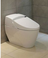 Intelligent Toilets 