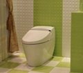Intelligent Toilets  2