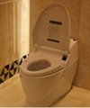 Intelligent Toilets  4
