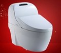 Intelligent toilet smart toilet 1