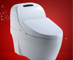 Intelligent toilet smart toilet