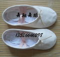 Factory direct Latin shoes，ballet shoes