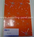 decoration material PVC ceiling panel