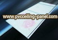 China Factory Waterproof Decorative PVC Board 4