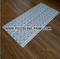 Building Material of PVC Ceilings (popular in Nige 3