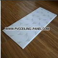 Building Material of PVC Ceilings (popular in Nige 4