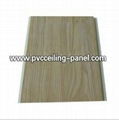 Building Material of PVC Ceilings (popular in Nige 5