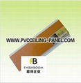 Plastic Wall Panel PVC Ceiling for House