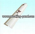 "H" PVC Clip--Accessories Match PVC Pane