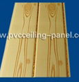 Roof ceiling plastic waterproof