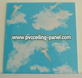 pvc roofing panels 595x595x7MM 1