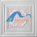 Beautiful design&Excellent quality color pvc gypsum board 3