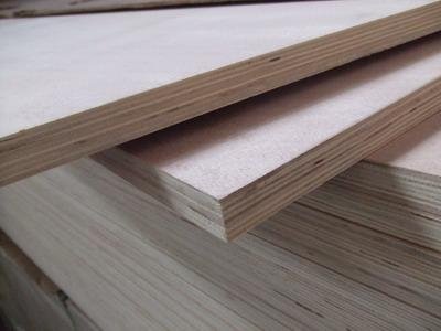 Furniture plywood 5