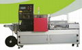 Taicang GOLD CCP-CC250 wallpaper side packing and sealing machine 1