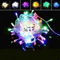 100leds LED String Light 10M 220V/110V Christmas Wedding Decoration Light 8 mode 1