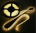 DC12v SMD5050 30LEDs/m Non-Waterproof  LED Strip Light 5m/roll  1