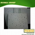 New building materials 2013 Mineral fiber tiles 1