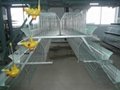      Automatic A Frame Layer Battery Cage 5
