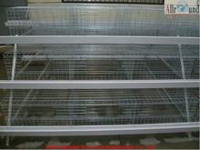 Hot sale layer pullet cage for chicken farm  5