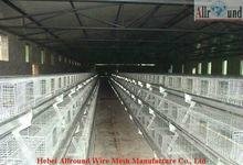 With Nipplet Drinking System and Plastic Pad Pullets Rearing Cage