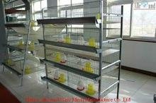 With Nipplet Drinking System and Plastic Pad Pullets Rearing Cage 2