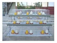 With Nipplet Drinking System and Plastic Pad Pullets Rearing Cage 3
