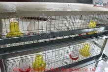 With Nipplet Drinking System and Plastic Pad Pullets Rearing Cage 5