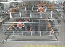 high quality broiler raising cage 4