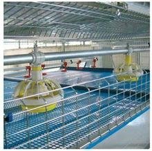 high quality broiler raising cage 5